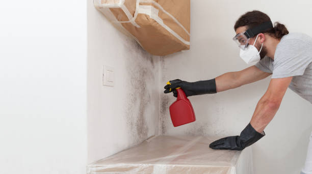 Professional Crawl Space Mold Removal technician working in Riverside, PA